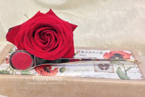 2ABLO Letter Opener 7" Chrome Rust Resistant with Bezel ~ Custom Order ~ Order Form Required