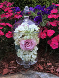 E-TTAL Preserved Flowers ~ 11" x 5" Glass Apothecary Jar Display
