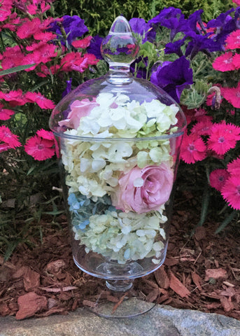 E-TTAL Preserved Flowers ~ 11" x 5" Glass Apothecary Jar Display